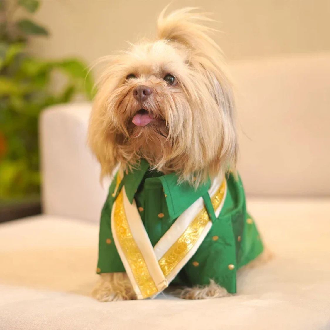 Dog Kurta Combo | Soft Cotton Ethnic Pet Wear | Festive Dog Clothes