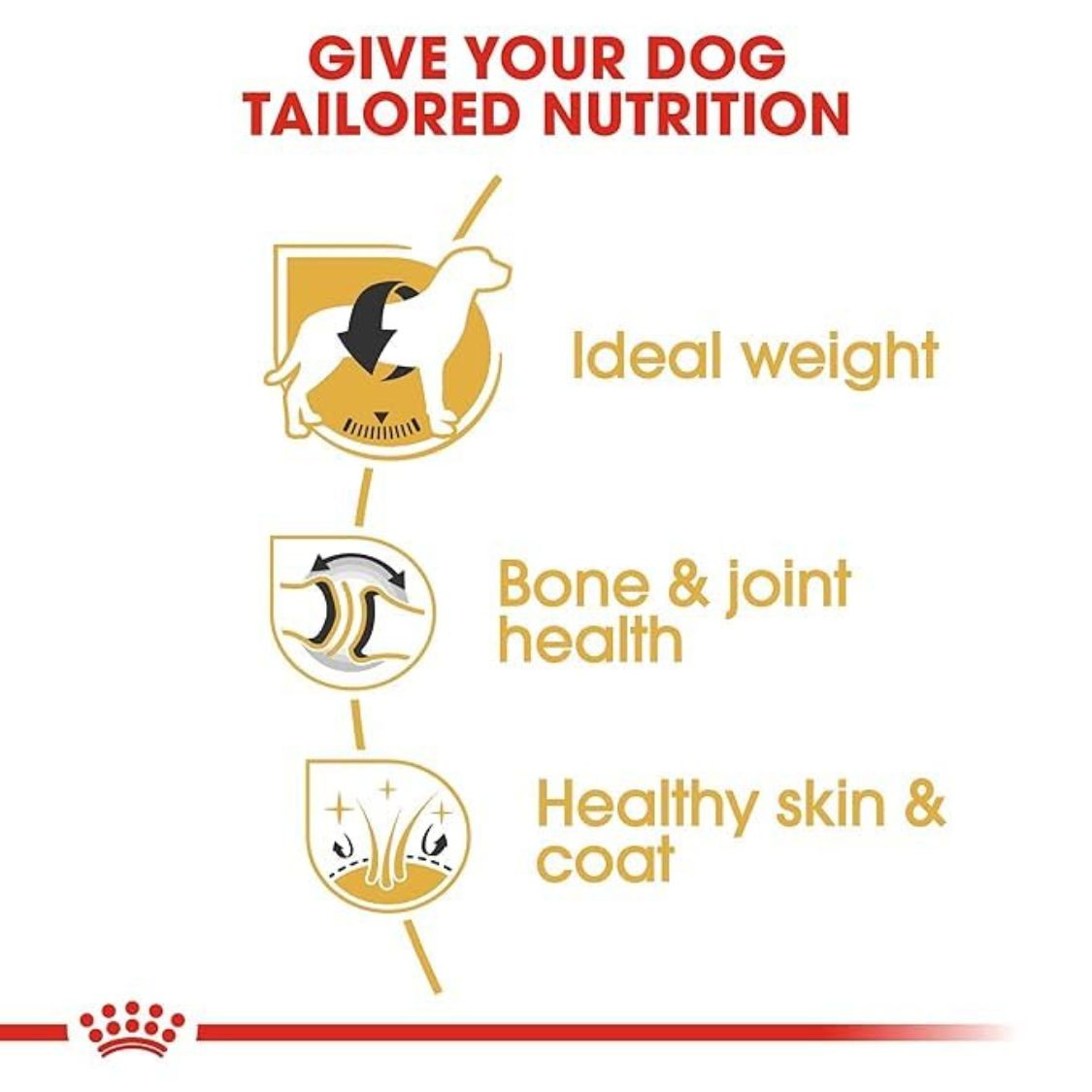 Dog Food | Dry Dog Food for Adult Labradors with Weight Skin & Joint Support