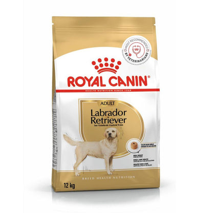 Dog Food | Dry Dog Food for Adult Labradors with Weight Skin & Joint Support