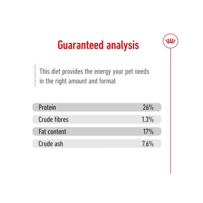 Dog Food | Dog Dry Food for Large Breed Adult Dogs with Joint & Digestive Support
