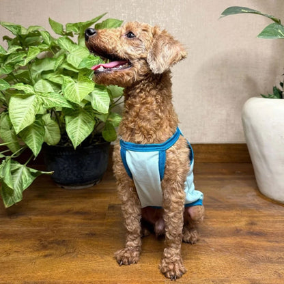 Dog Vest Stay Cool | Breathable Puppy Clothing for Summer Walks