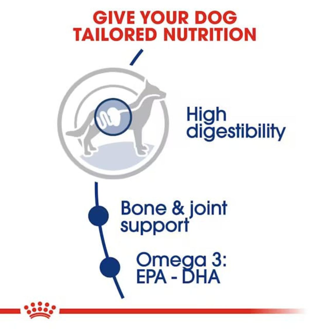 Dog Food | Dog Dry Food for Large Breed Adult Dogs with Chicken