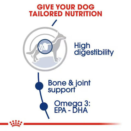 Dog Food | Dog Dry Food for Large Breed Adult Dogs with Chicken