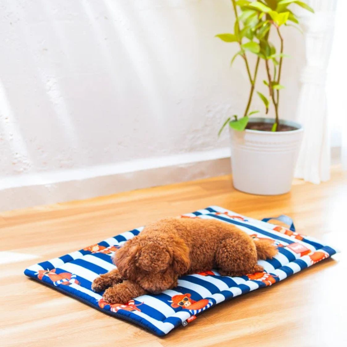 Dog Mat | Pet Mat for Dogs & Cats Rest Travel & Everyday Comfort