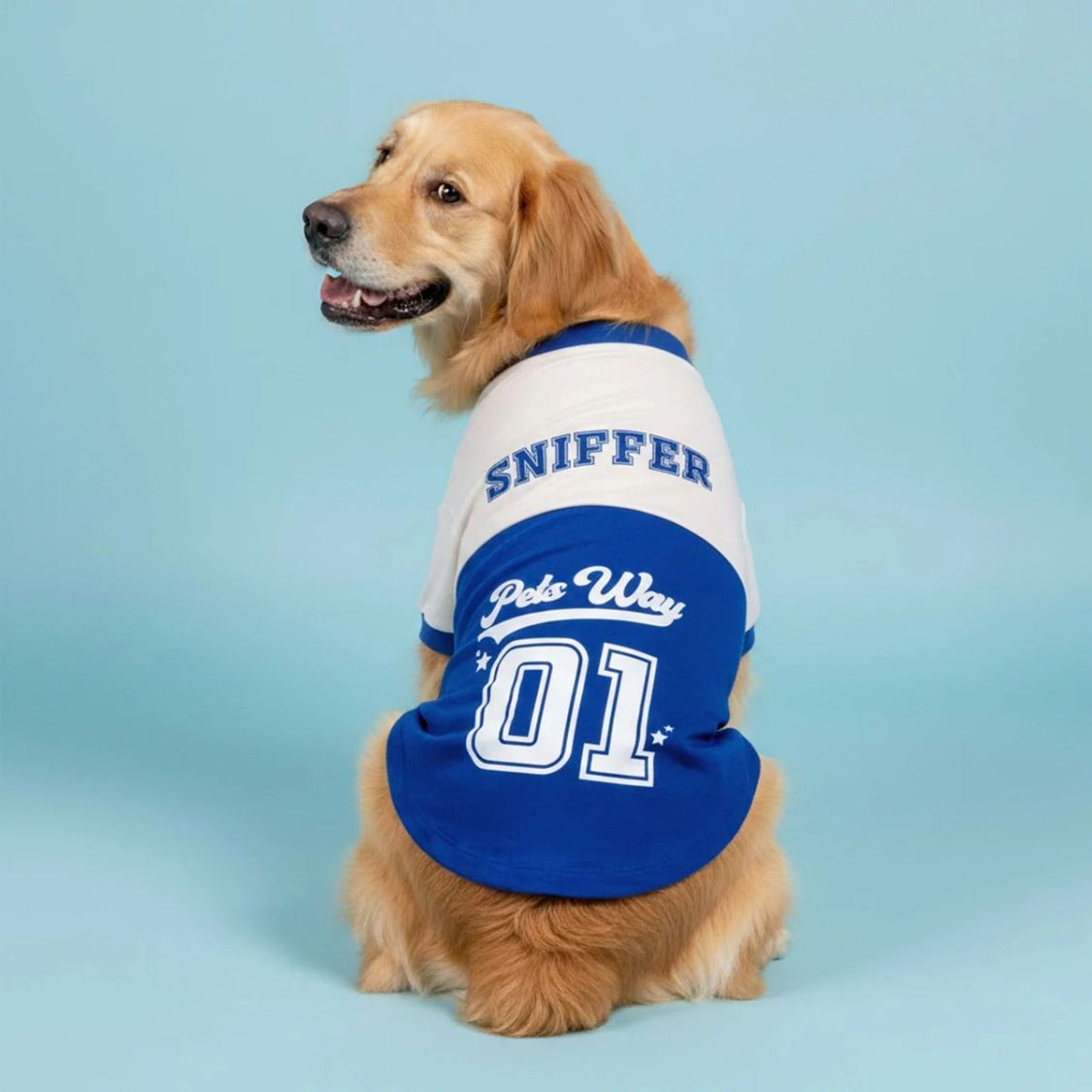 Dog T-Shirt | Dog Cotton T-Shirt for Everyday Comfort - Barkball Woofers