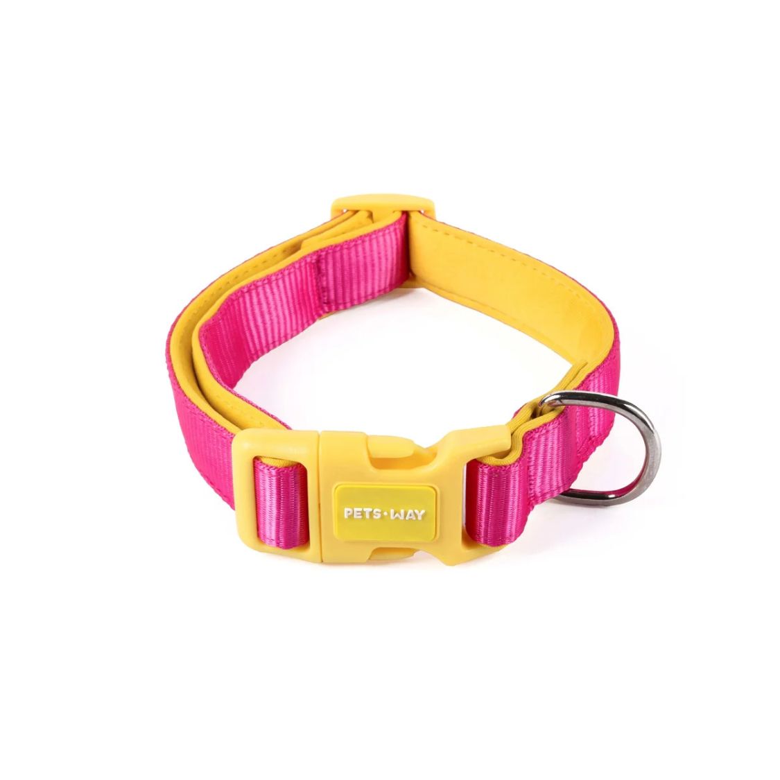 Dog Padded Collar | Dog Adjustable Collar for Daily Walks & Training