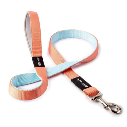 Dog Leash | Dog Walking Leash for Daily Walks - Dual Color