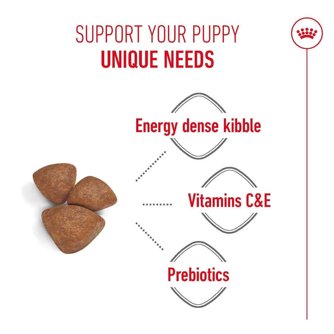 Dog Puppy Food | Dog Starter Food for Small Breed Mothers & Puppies