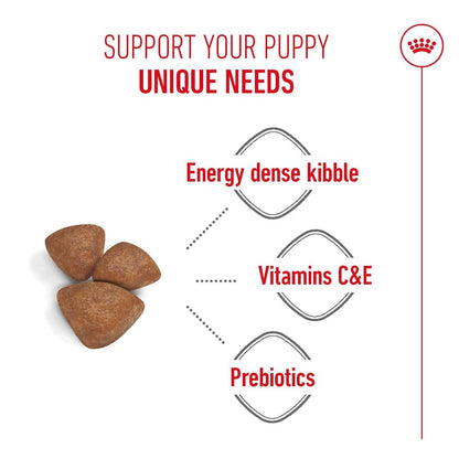 Dog Puppy Food | Dog Starter Food for Small Breed Mothers & Puppies