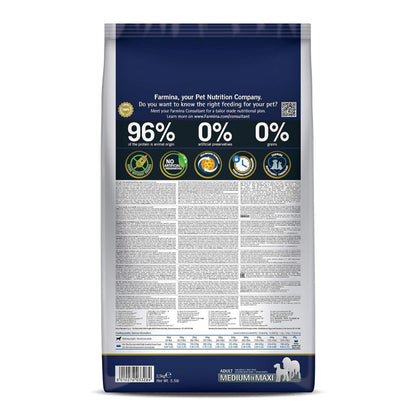 Dog Food | Dog Dry Food with Lamb Pumpkin & Blueberry for Medium & Large Breeds