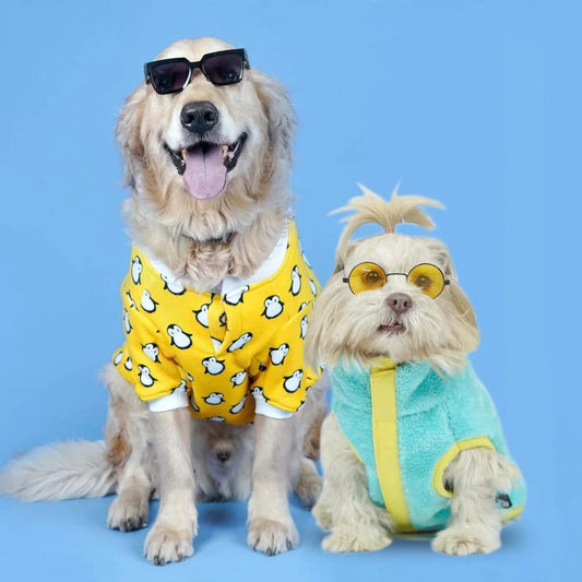 Dog Winter Wear | Dog Winter Jacket and Sweatshirt for Chilly Days