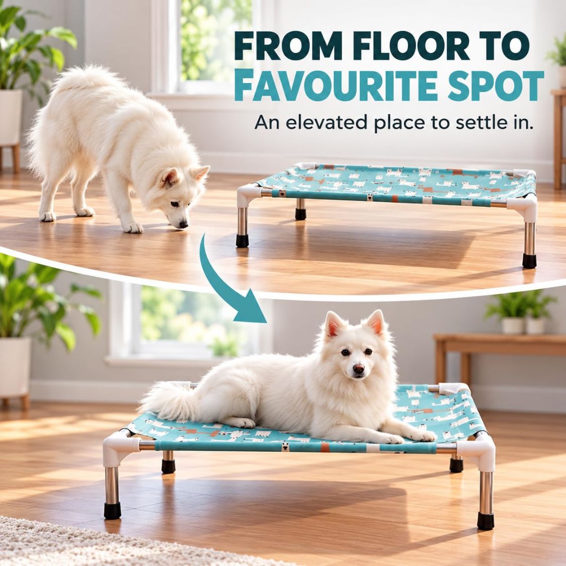 Dog Bed | Elevated Dog Bed for Small Pets & Cats with Steel Frame