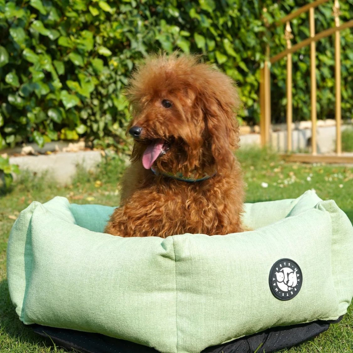 Dog Sleeping Bed | Dog Washable Bed for All Breeds - Sage Hexagonal