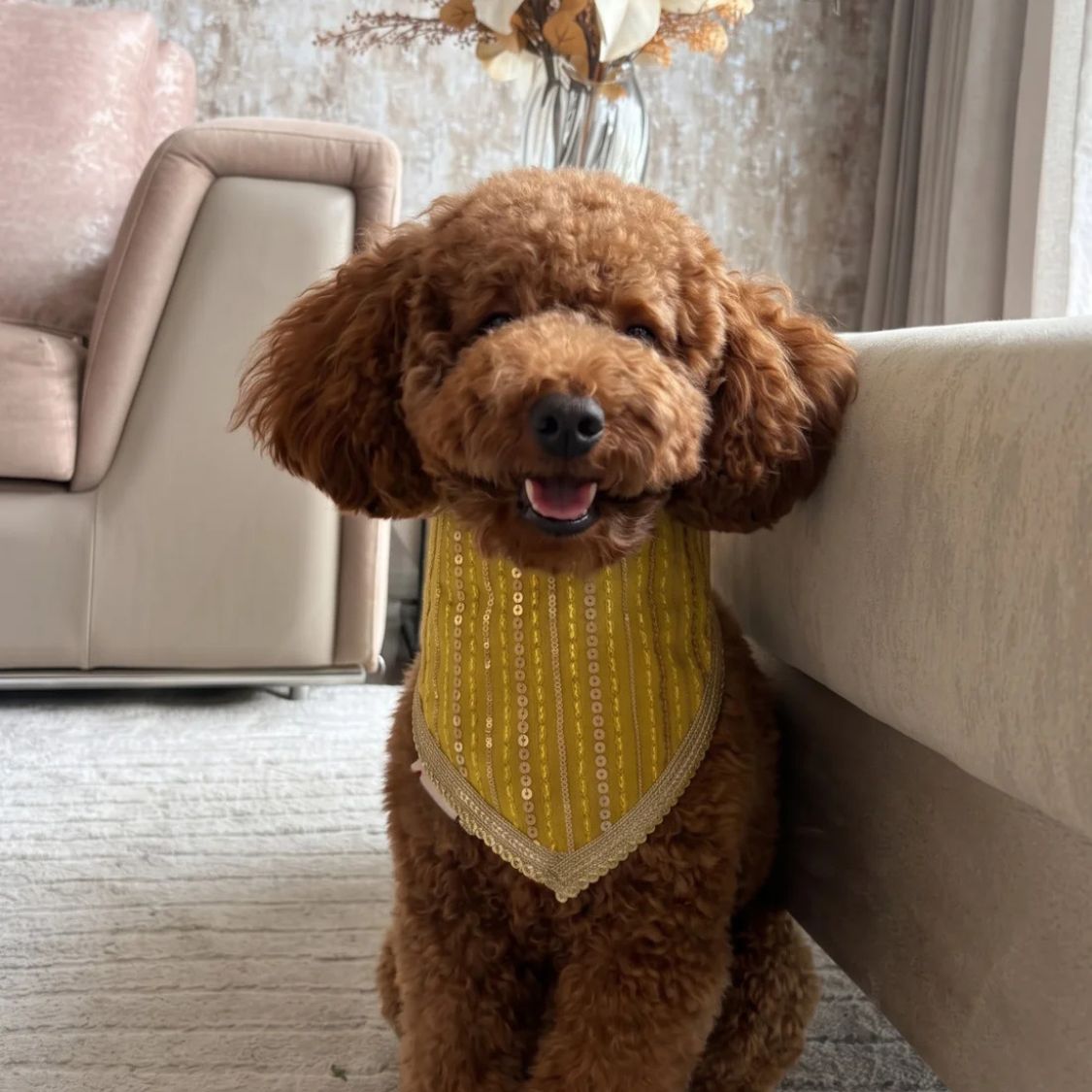 dog neck scarf