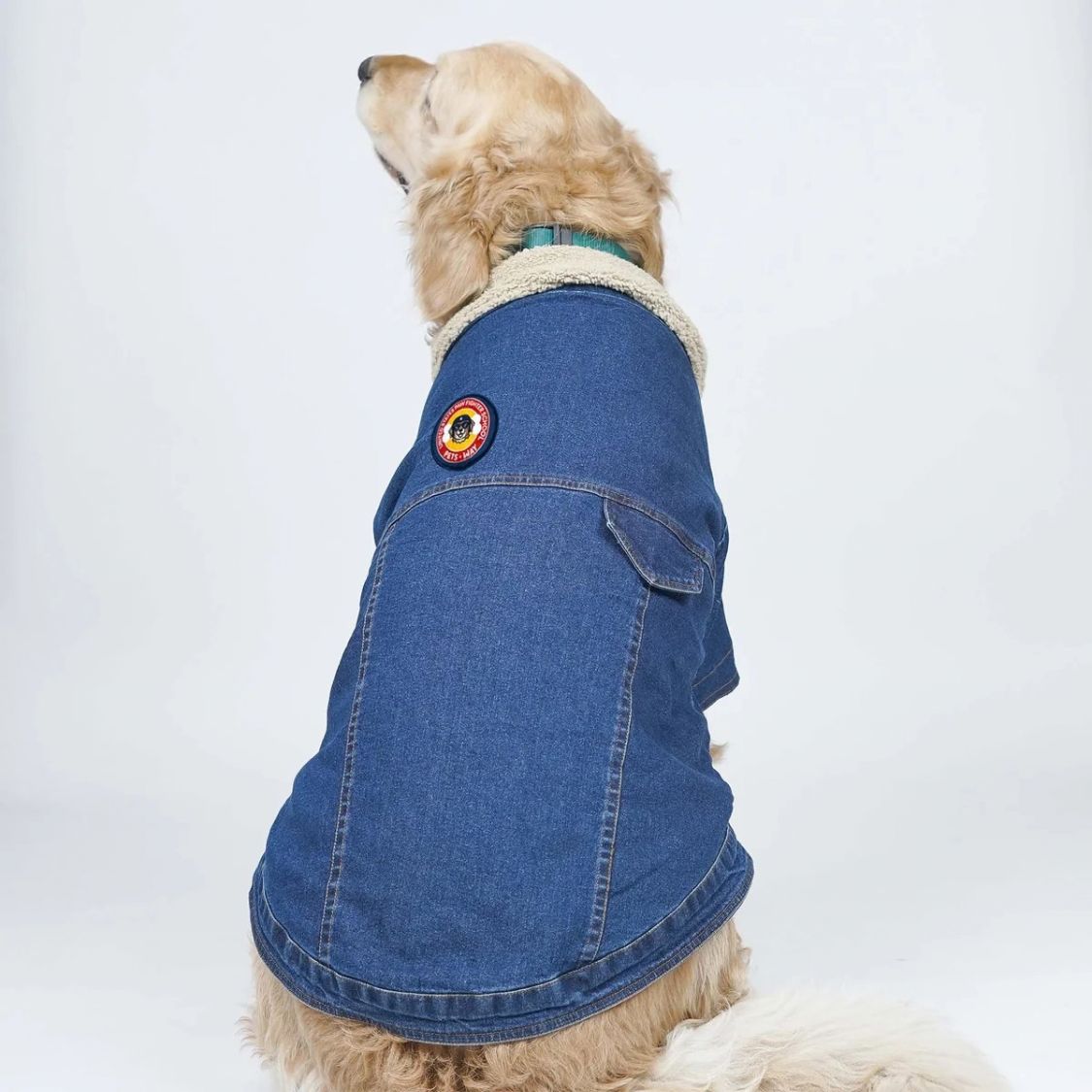 Dog Denim Jacket | Dog Jacket with Warm Sherpa Lining
