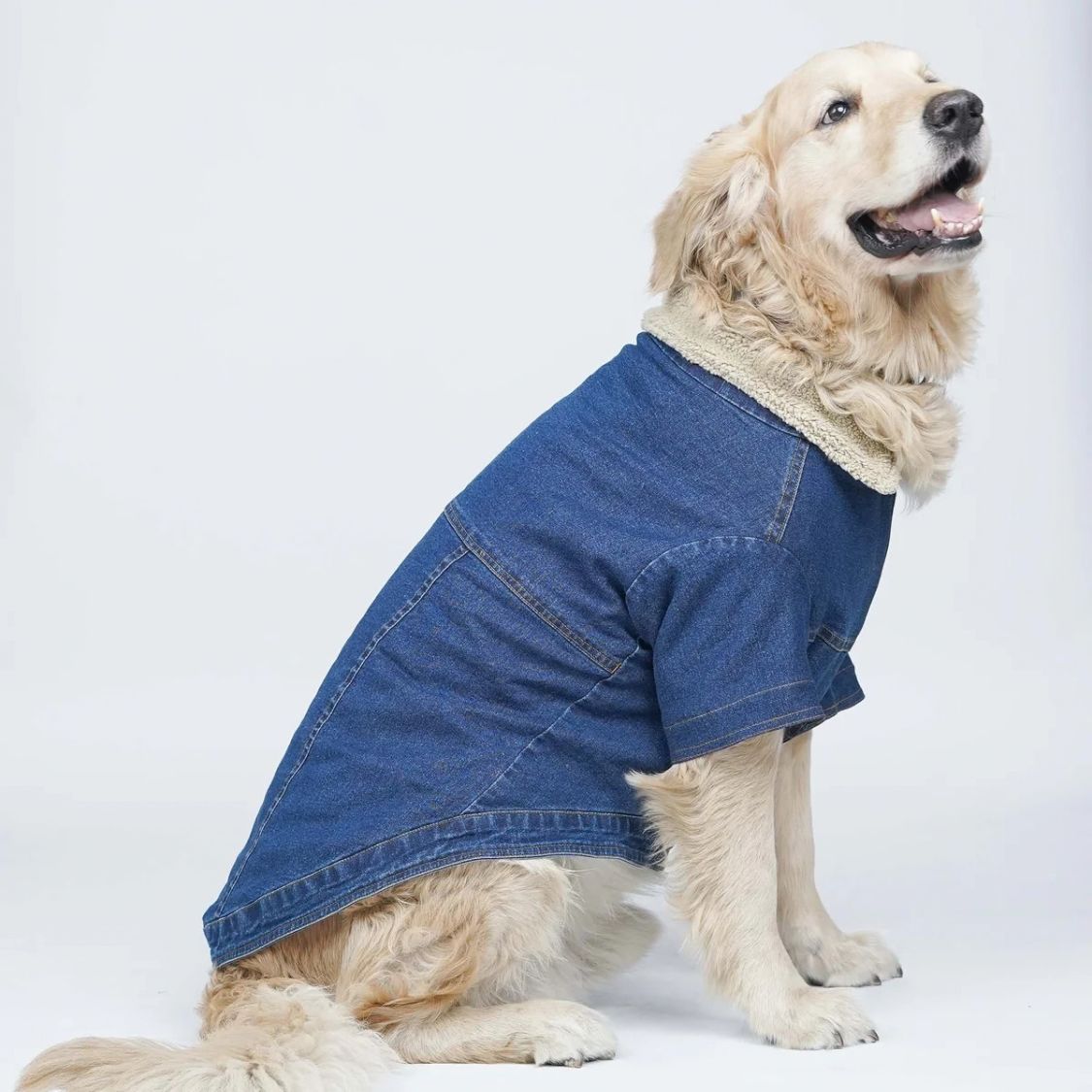 Dog Denim Jacket | Dog Jacket with Warm Sherpa Lining