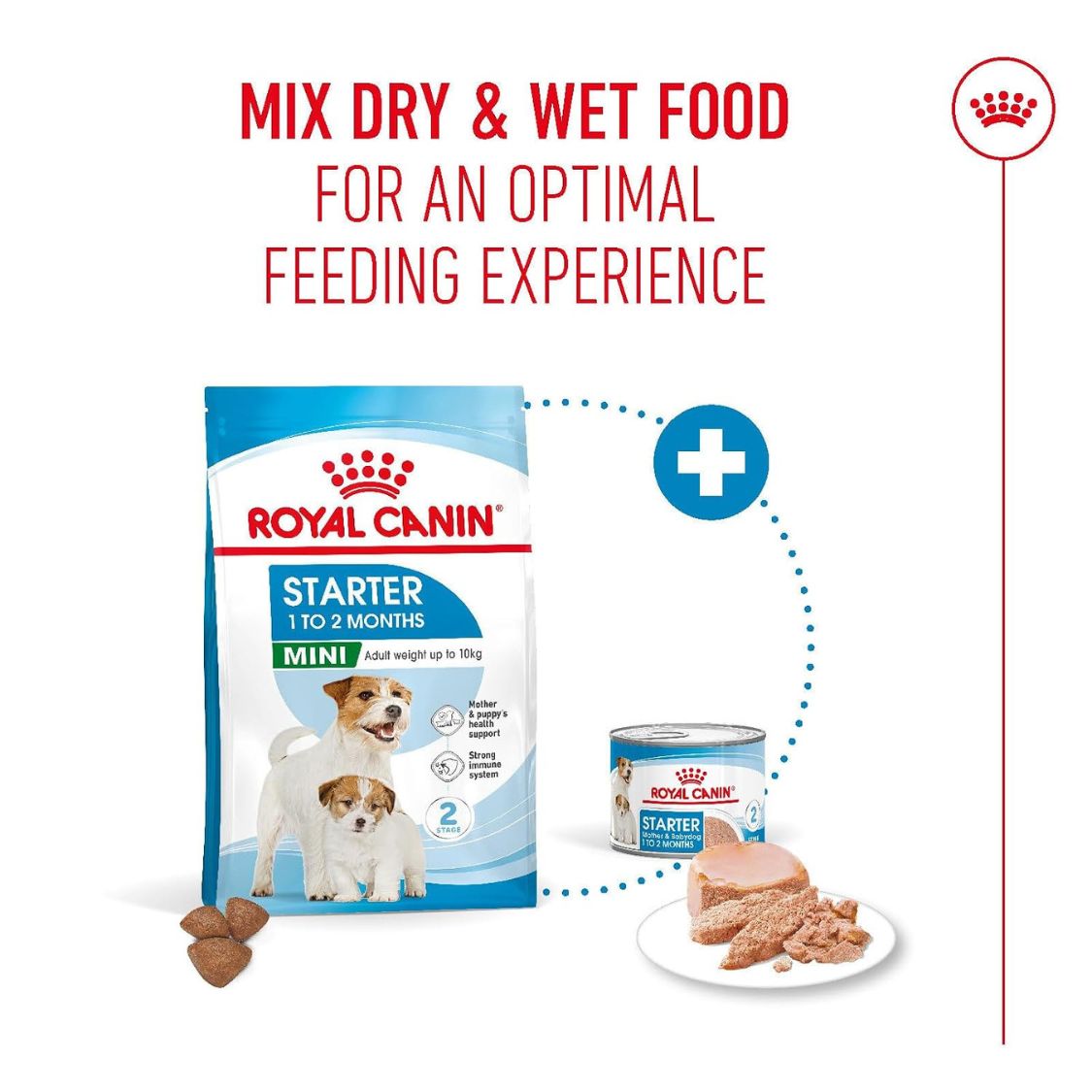 Dog Puppy Food | Dog Starter Food for Small Breed Mothers & Puppies