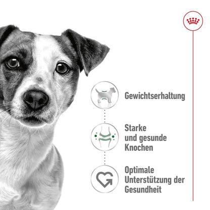 Dog Food | Dog Dry Food for Small Breed Adult Dogs with Weight & Digestive Support