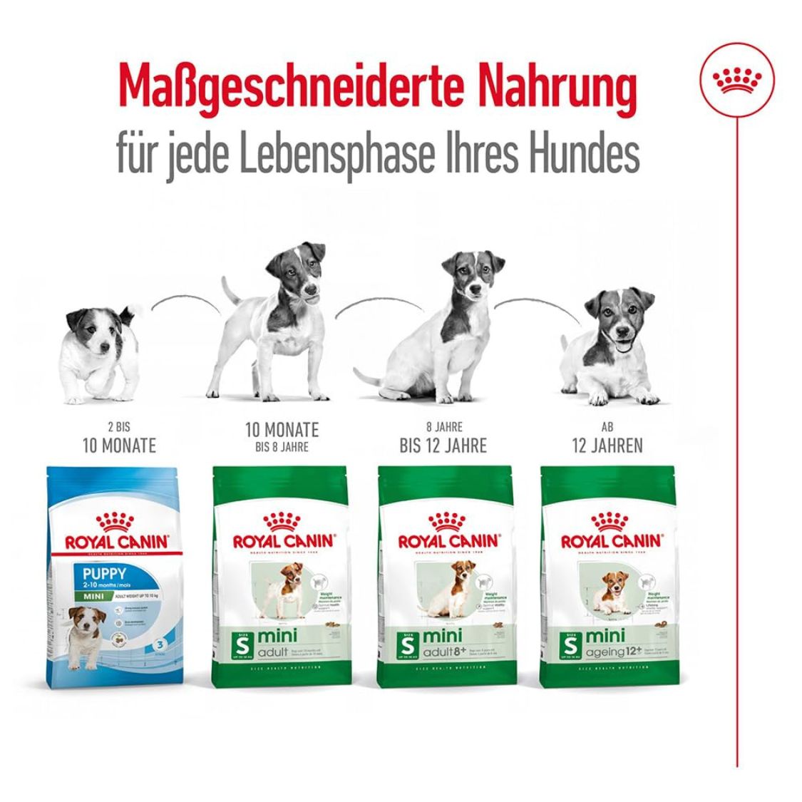 Dog Food | Dog Dry Food for Small Breed Adult Dogs with Weight & Digestive Support
