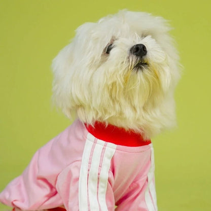 Dog T-Shirt | Dog Cotton T-Shirt for Everyday Comfort - Dive In Stripes