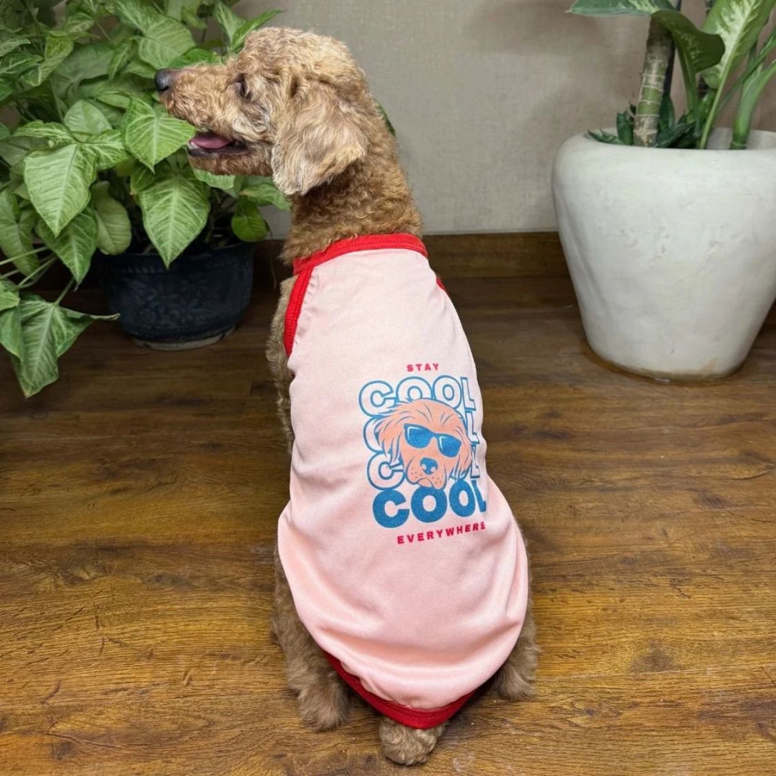 Dog Vest Stay Cool | Breathable Puppy Clothing for Summer Walks
