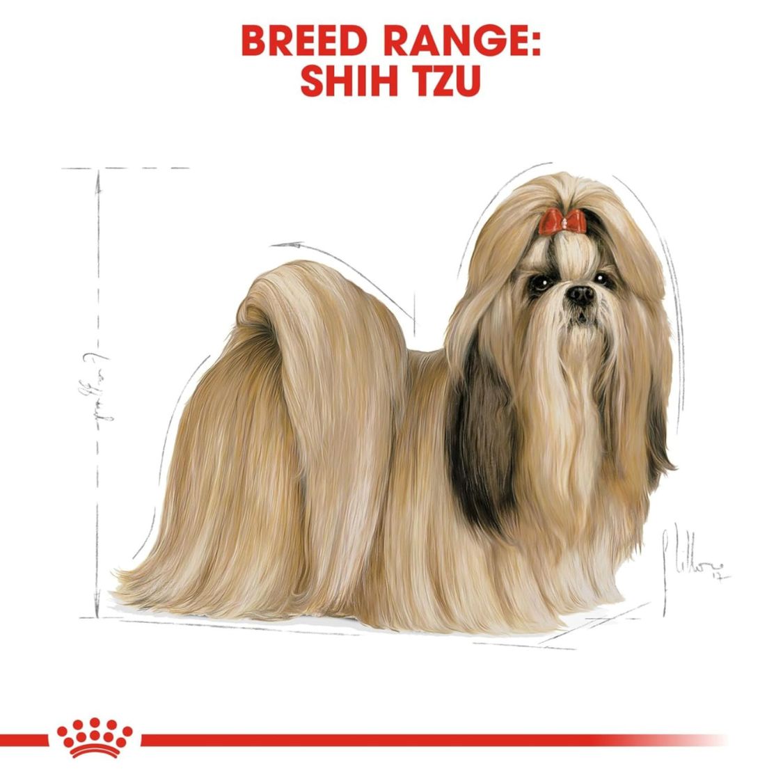 Dog Food | Dog Dry Food for Adult Shih Tzu with Skin Coat & Dental Support