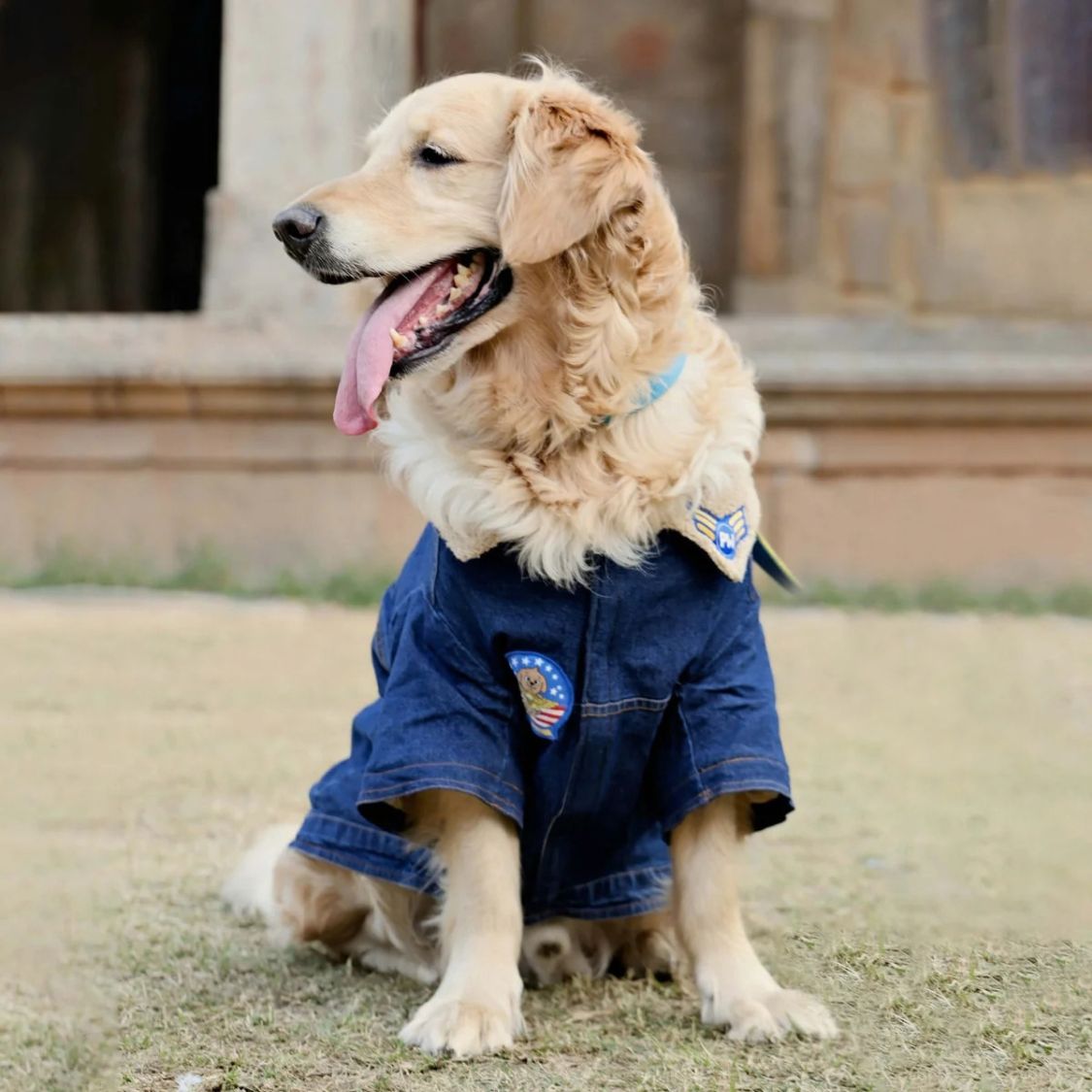 Dog Denim Jacket | Dog Jacket with Warm Sherpa Lining