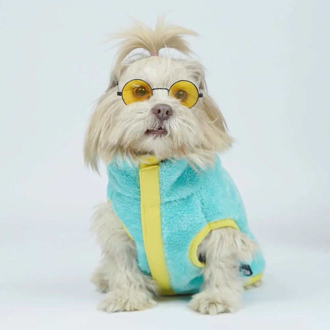 Dog Winter Clothes | Dog Warm Jacket for Chilly Weather and Daily Wear