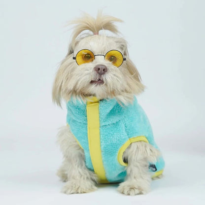 Dog Winter Clothes | Dog Warm Jacket for Chilly Weather and Daily Wear