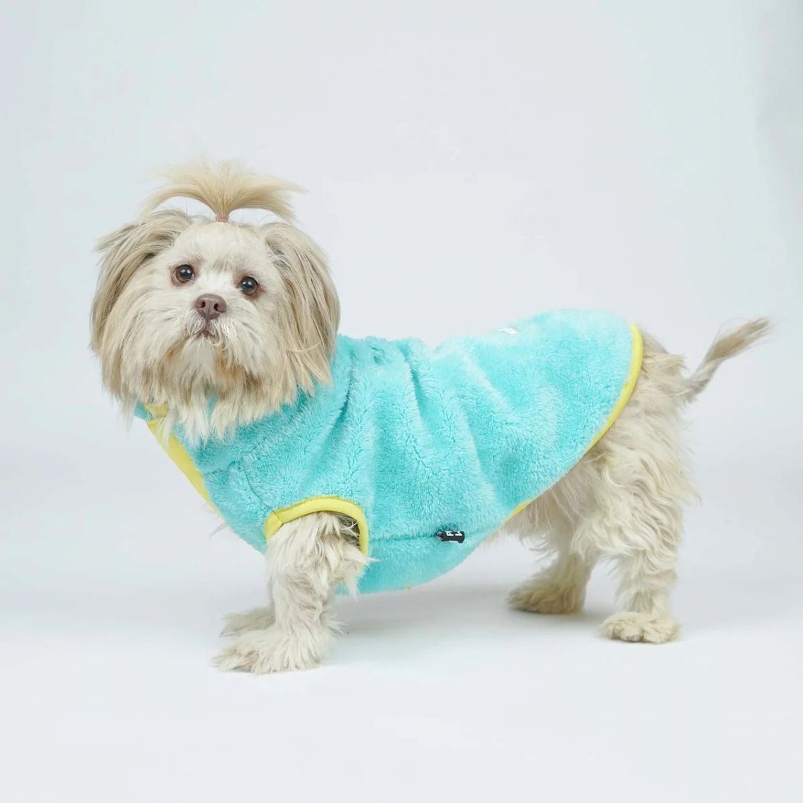 Dog Winter Clothes | Dog Warm Jacket for Chilly Weather and Daily Wear