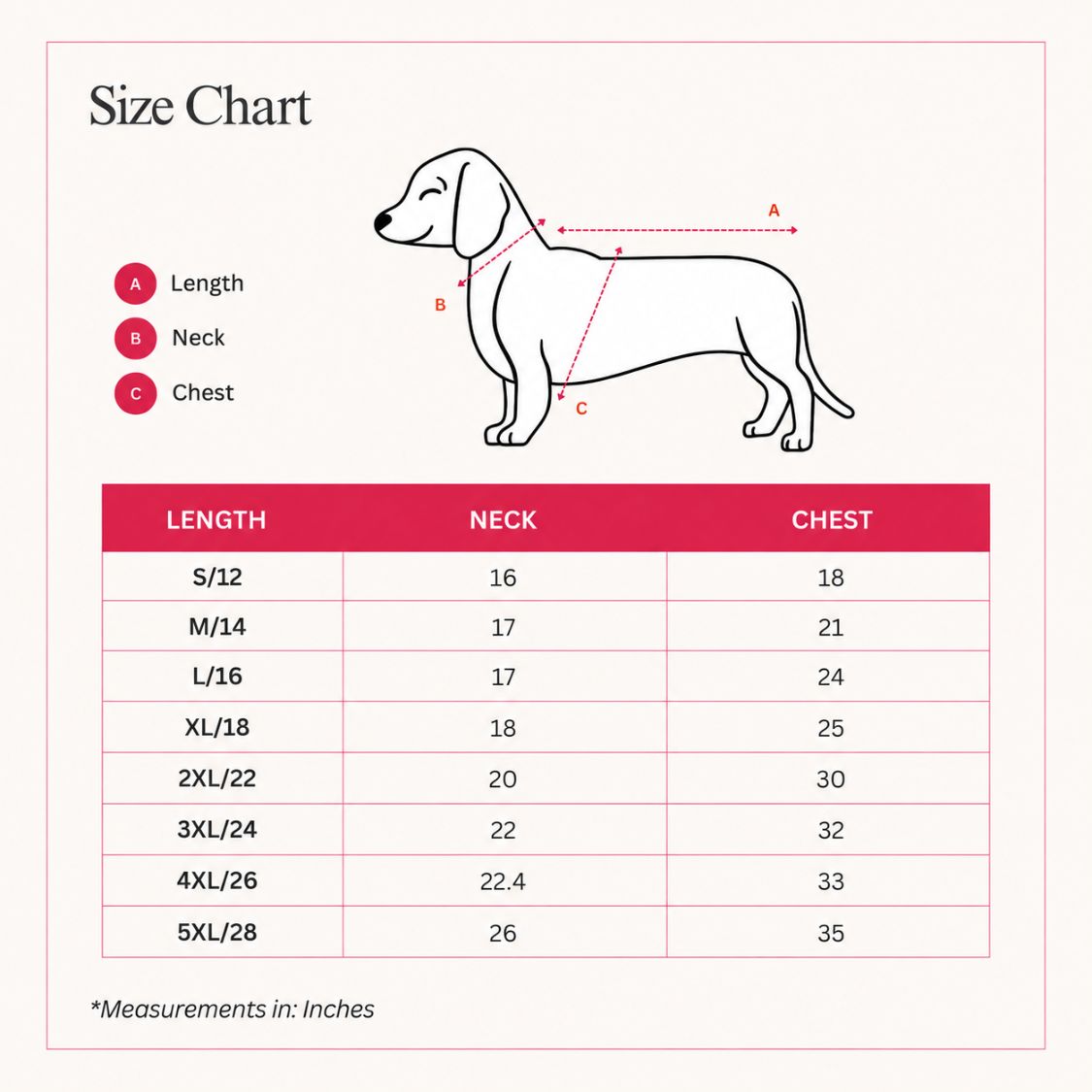 dog traditional kurta