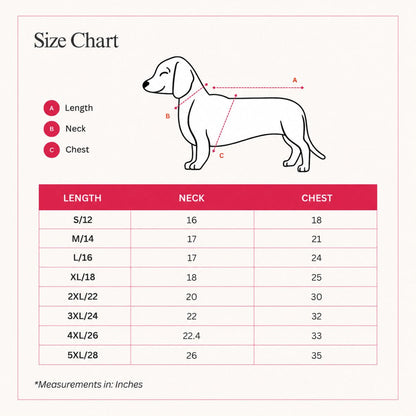 dog traditional kurta