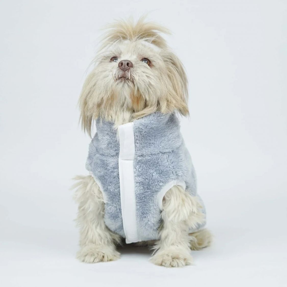 Dog Winter Jacket | Dog Jacket Stylish for Cold Weather