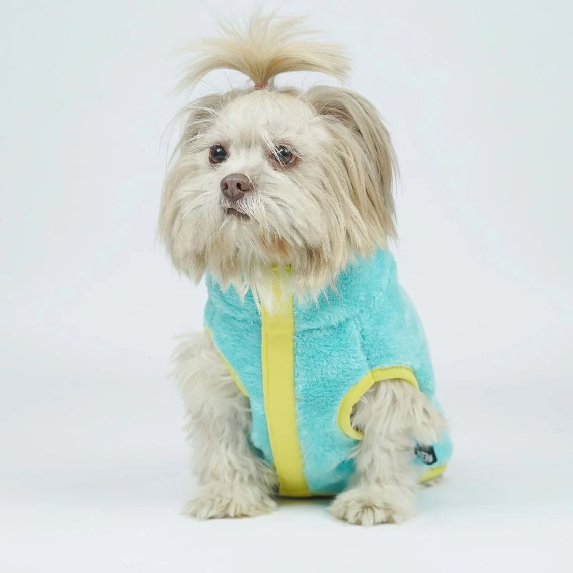 Dog Winter Clothes | Dog Warm Jacket for Chilly Weather and Daily Wear