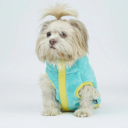Dog Winter Clothes | Dog Warm Jacket for Chilly Weather and Daily Wear