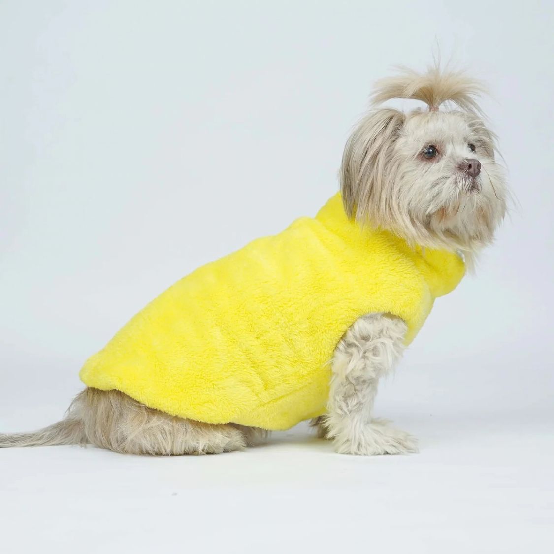 Dog Winter Jacket | Dog Jacket for Cold Weather and Outdoor Walks