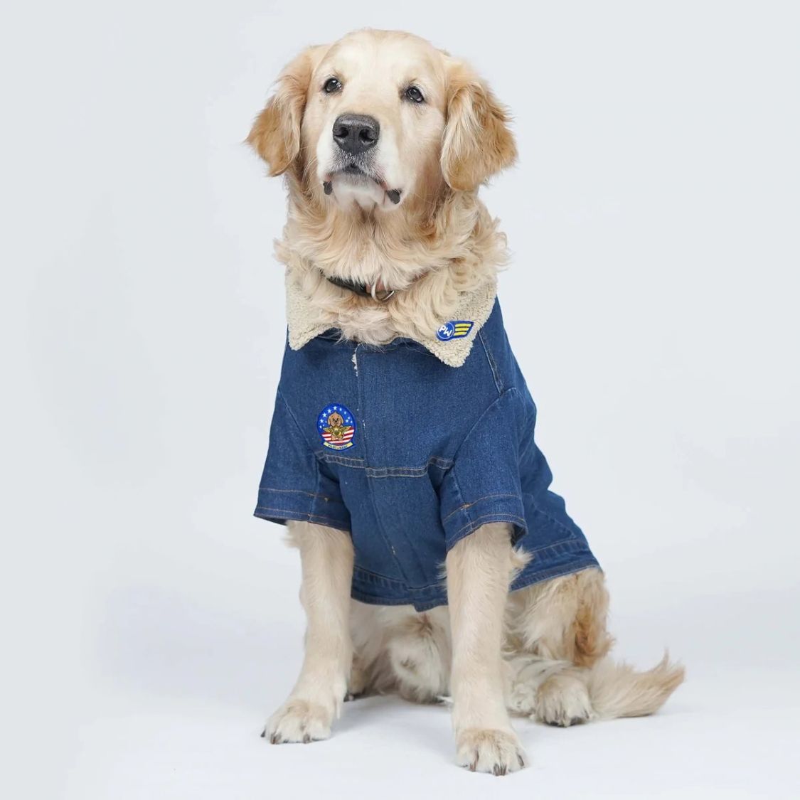 Dog Denim Jacket | Dog Jacket with Warm Sherpa Lining
