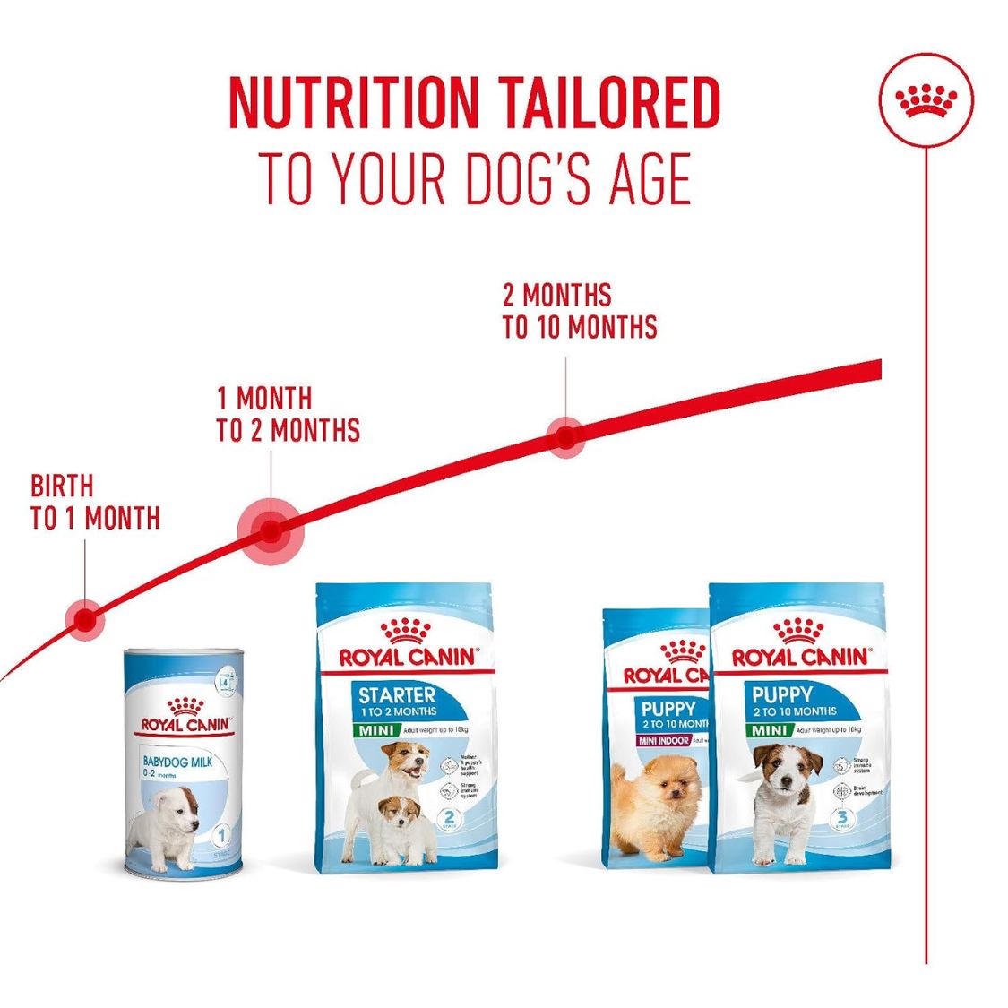 Dog Puppy Food | Dog Starter Food for Small Breed Mothers & Puppies