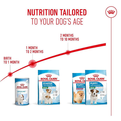 Dog Puppy Food | Dog Starter Food for Small Breed Mothers & Puppies