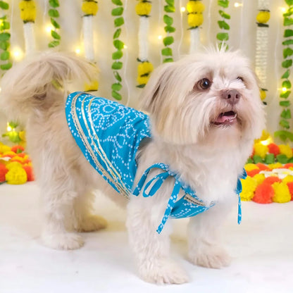 dog wedding outfit