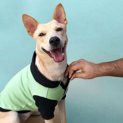 Dog Sweatshirt | Dog Winter Were with Hood and Fleece