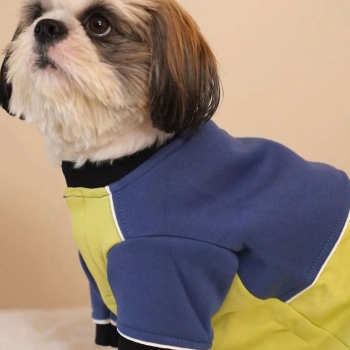 Dog Sweatshirt | Dog Winter Wear with Stretchable Cotton Fleece