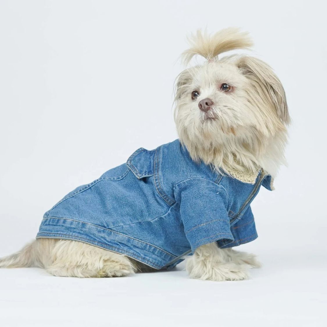 Dog Denim Jacket | Dog Winter Jacket with Soft Sherpa Lining