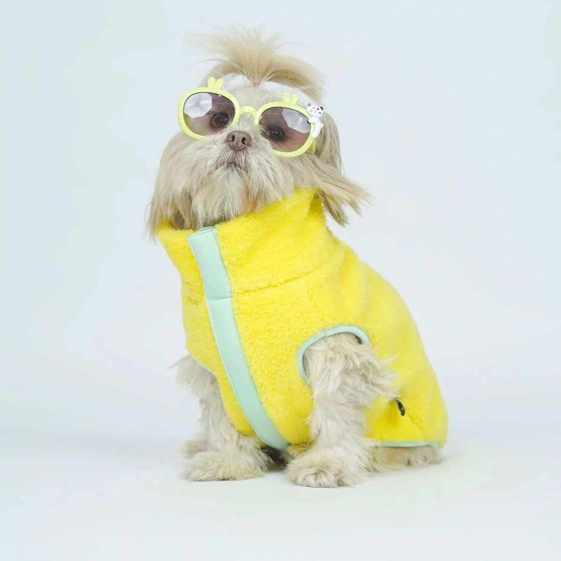 Dog Winter Jacket | Dog Jacket for Cold Weather and Outdoor Walks