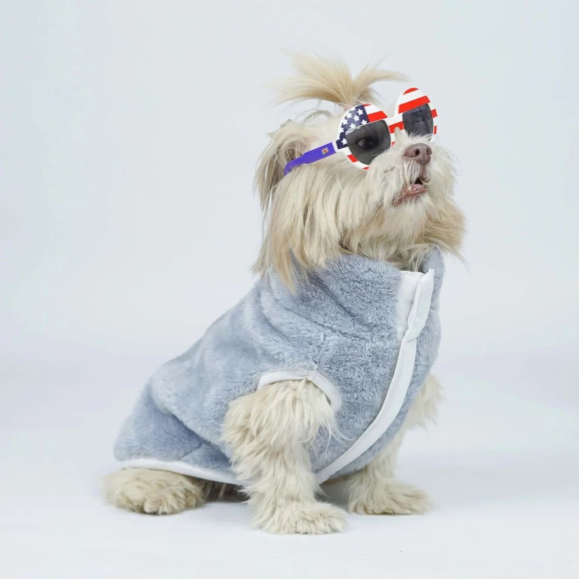 Dog Winter Jacket | Dog Jacket Stylish for Cold Weather