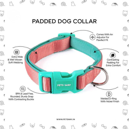 Dog Padded Collar | Dog Adjustable Collar for Daily Walks & Training