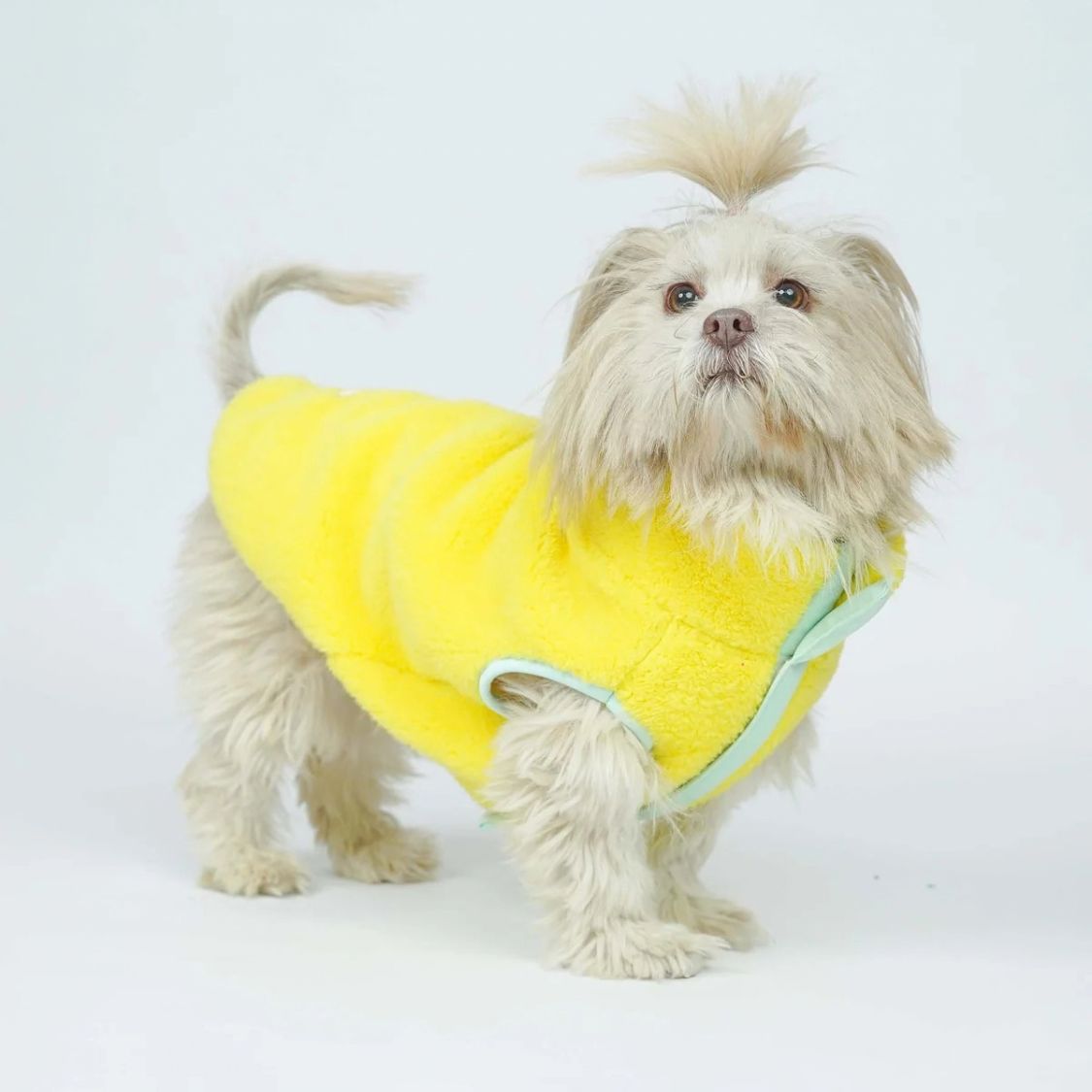 Dog Winter Jacket | Dog Jacket for Cold Weather and Outdoor Walks
