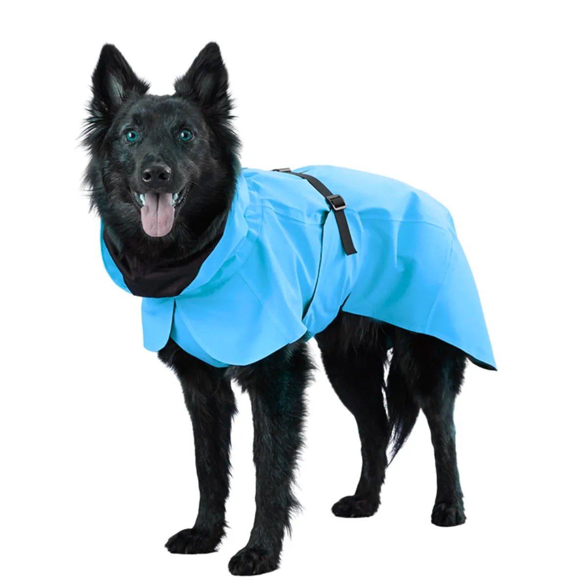 Blue Waterproof Dog Raincoat with Hood