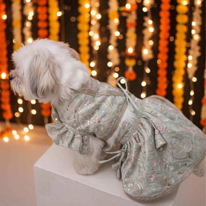 Mint Swirl Designer Lehenga for Dogs – Stylish Festive Outfit for Pets