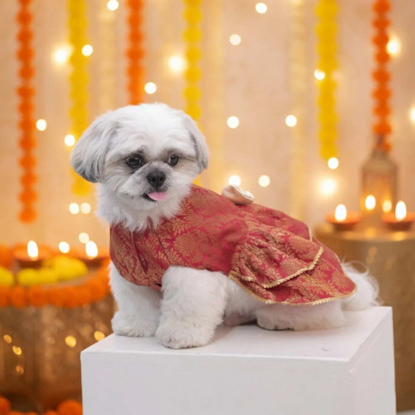 Maharani Pet Lehenga – Royal Designer Ethnic Wear for Dogs